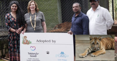 Tiger adopted
