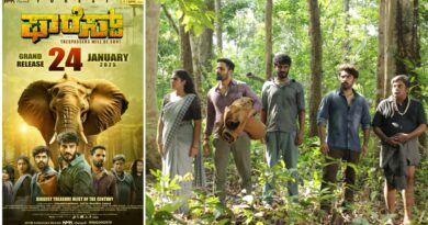 Forest Movie